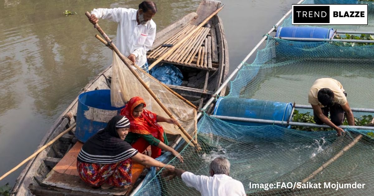 State of World Fisheries and Aquaculture 2024: FAO's New Report